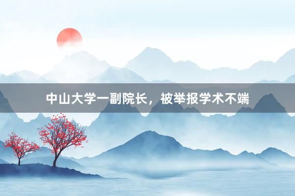 中山大学一副院长，被举报学术不端